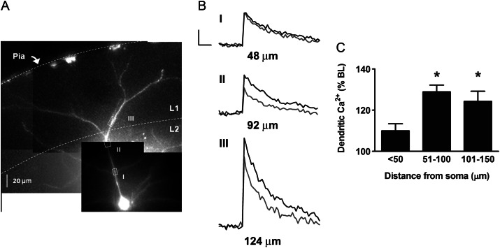 Figure 2.