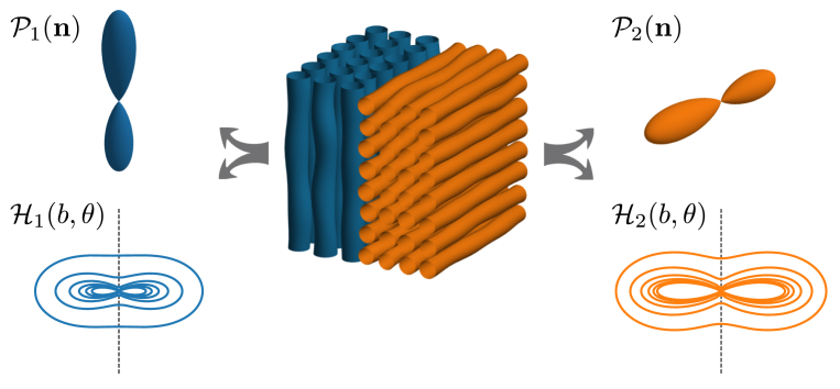 Fig. 1