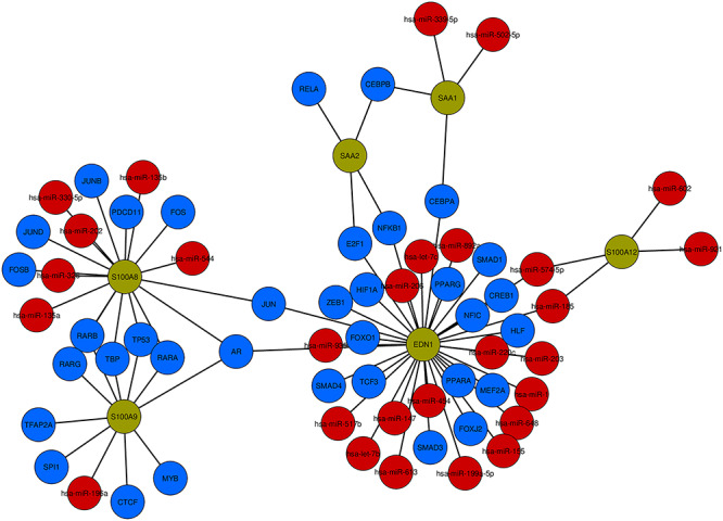 Figure 11