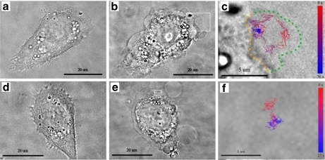 Fig. 7