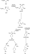 FIGURE 1.