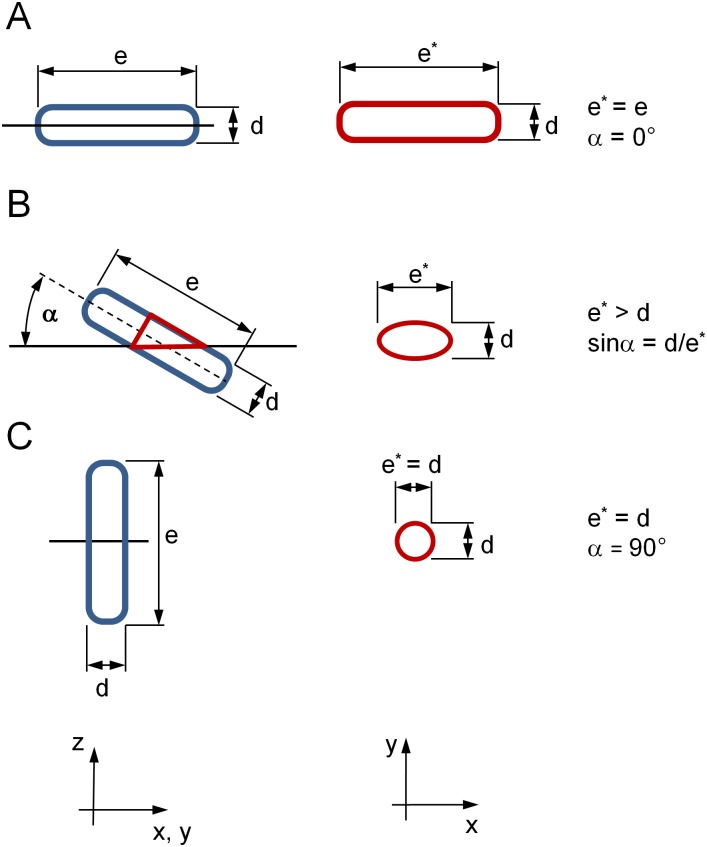 Fig 5