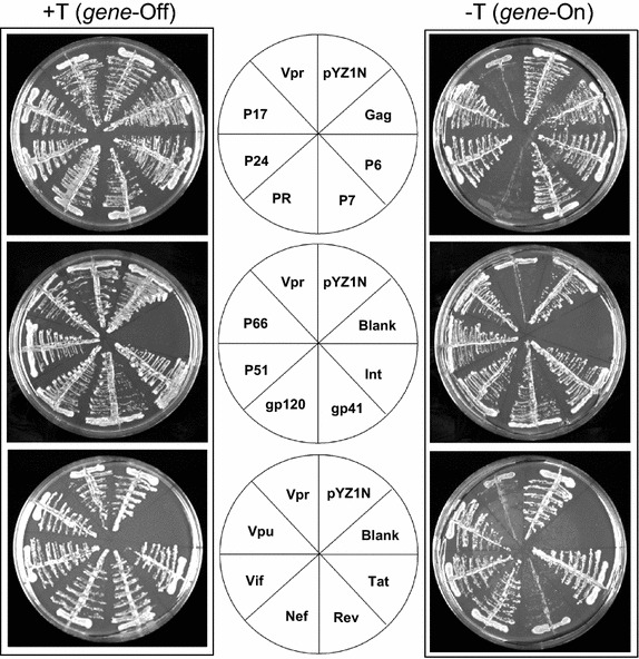 Fig. 3