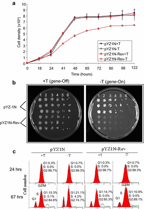 Fig. 4