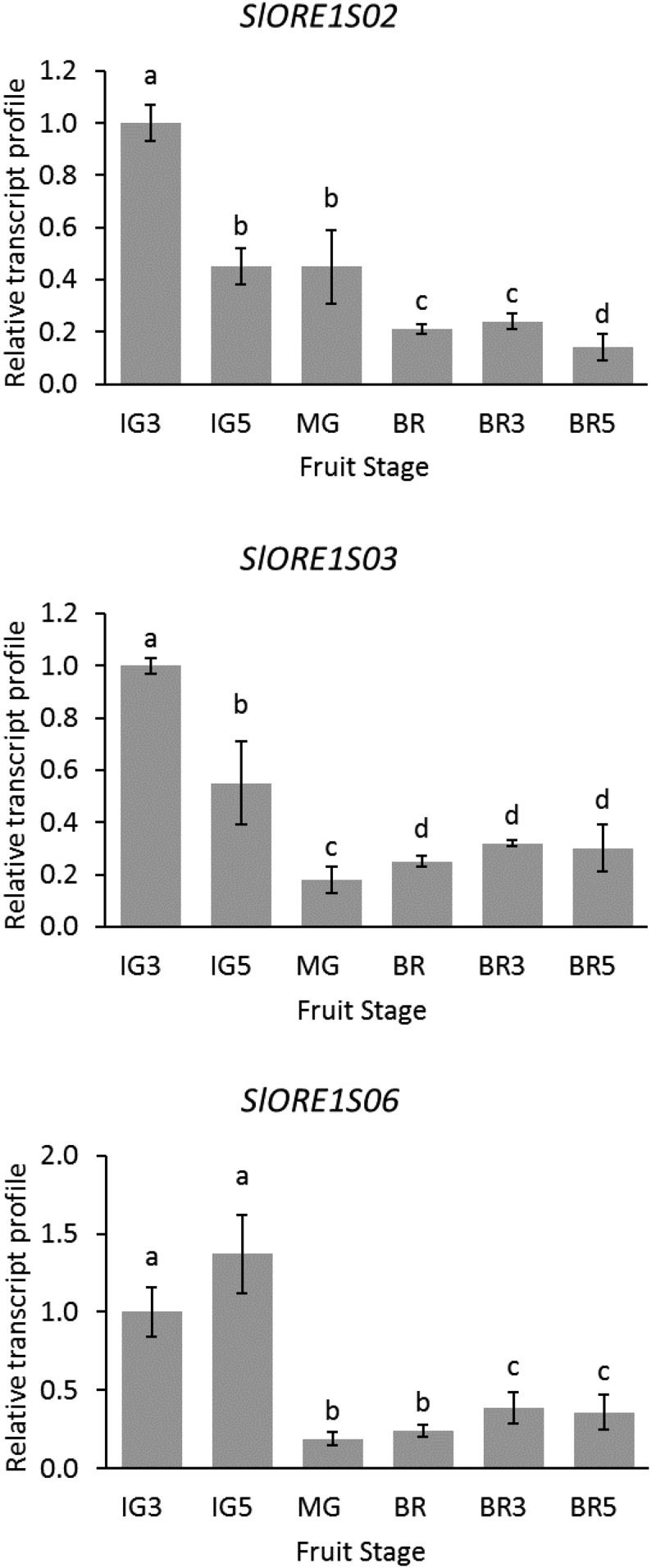 Figure 3.