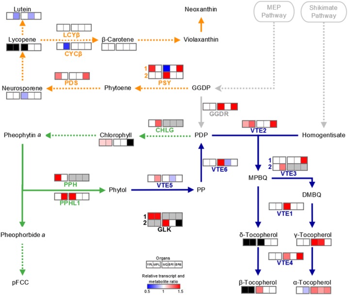 Figure 10.