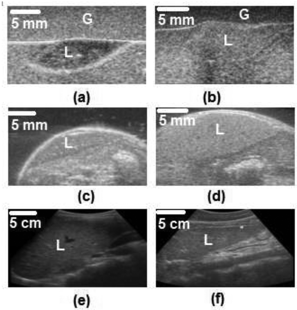 Figure 2: