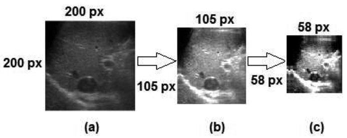 Figure 3: