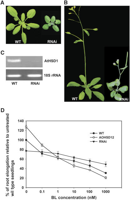 Figure 5.