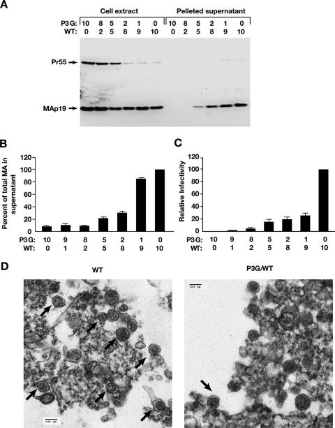 FIG. 6.