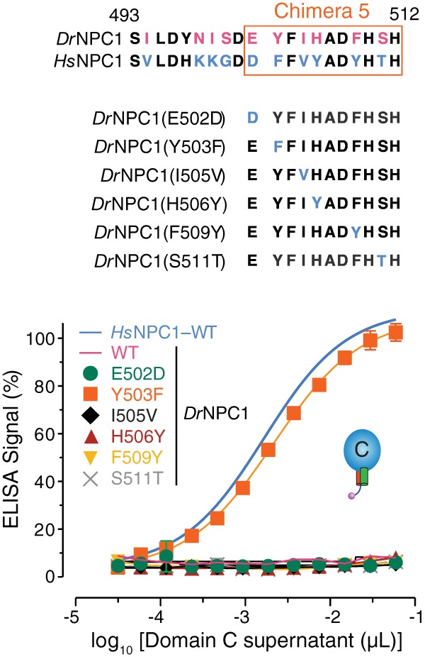 FIG 6 