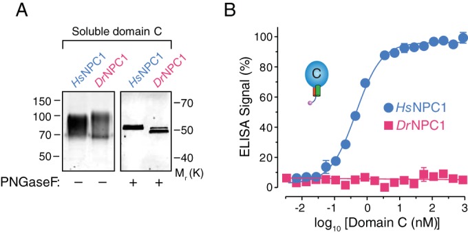 FIG 2 