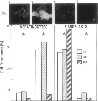 graphic file with name pnas01042-0423-a.jpg