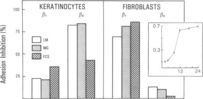 graphic file with name pnas01042-0423-b.jpg