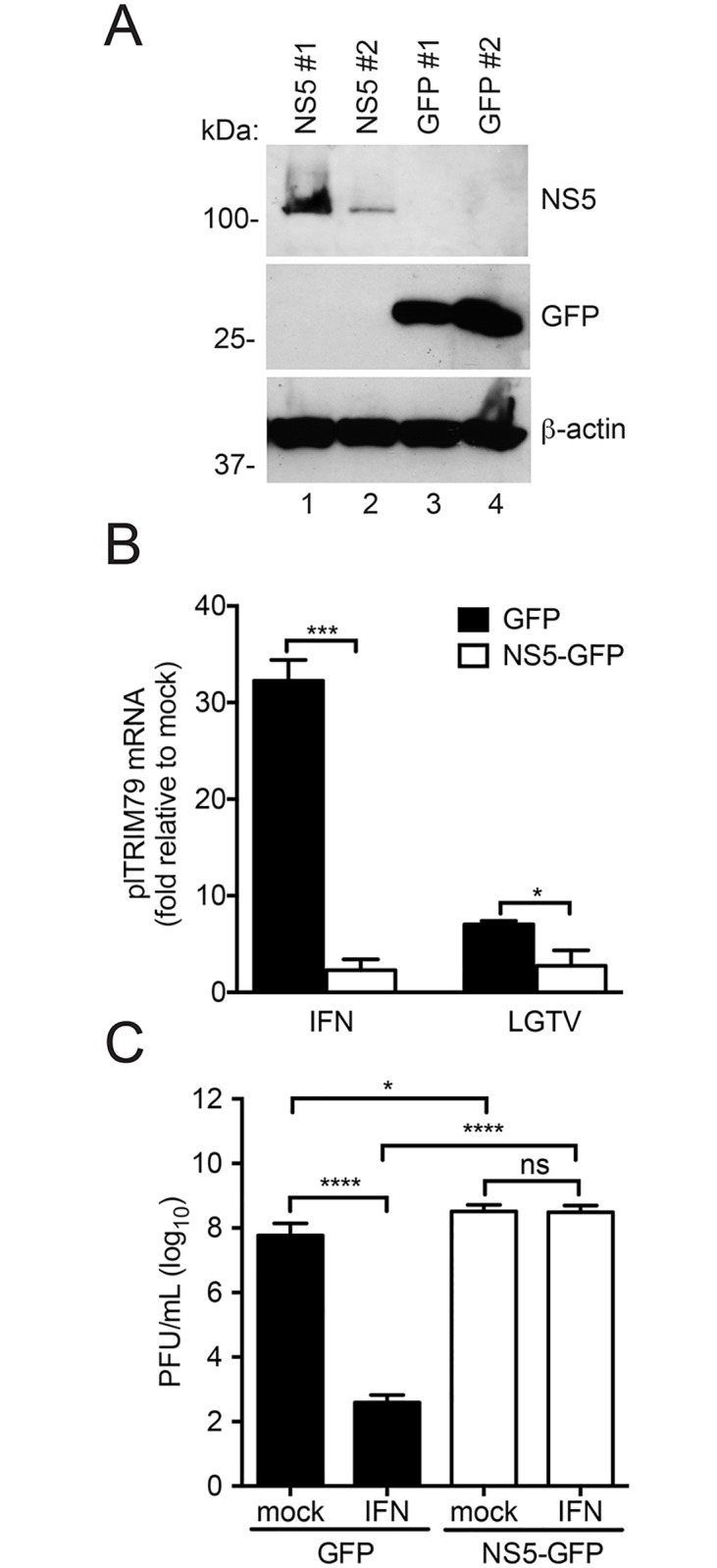 Fig 6