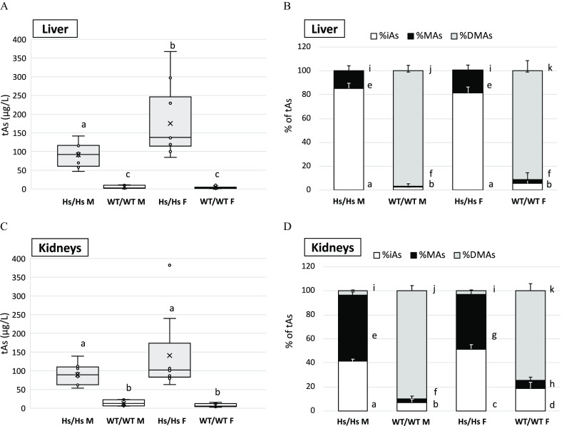 Figure 10 is a set of two boxplots and two stacked bar graphs. Figure 10A and Figure 10C are titled liver and kidneys, respectively, plotting t A s (micrograms per liter), ranging from 0 to 400 in increments of 50 (y-axis) across H s virgule H s M, W T virgule W T M, H s virgule Hs F, and W T virgule W T F (x-axis). Figure 10B and Figure 10D are titled liver and kidneys, respectively, plotting percentage of t A s, ranging from 0 to 120 in increments of 20 (y-axis) across H s virgule H s M, W T virgule W T M, H s virgule H s F, and W T virgule W T F (x-axis) for percentage i A s, percentage M A s, and percentage D M A s.