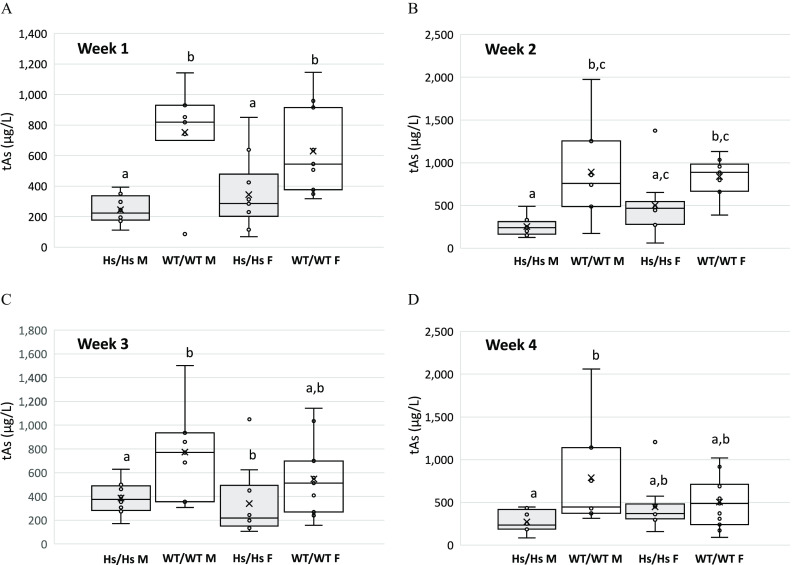 Figure 8 is a set of four boxplots. Figure 8A and Figure 8C are titled Week 1 and Week 3, respectively, plotting t A s (micrograms per liter), ranging from 0 to 1,400 in increments of 200 and 0 to 1,800 in increments of 200, (y-axis), respectively, across H s virgule H s M, W T virgule W T M, H s virgule H s F, and W T virgule W T F (x-axis). Figure 8B and Figure 8D are titled Week 2 and Week 4, respectively, plotting t A s (micrograms per liter), ranging 0 to 2,500 in increments of 500 (y-axis) across H s virgule H s M, W T virgule W T M, H s virgule H s F, and W T virgule W T F (x-axis).