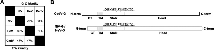 FIG 1