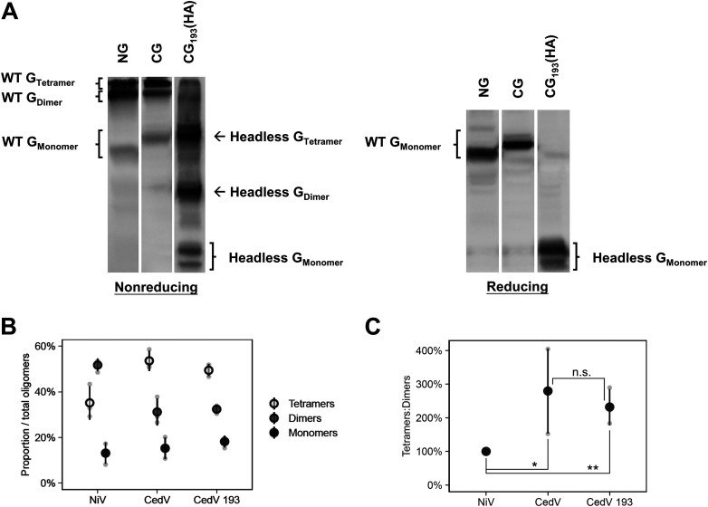 FIG 6