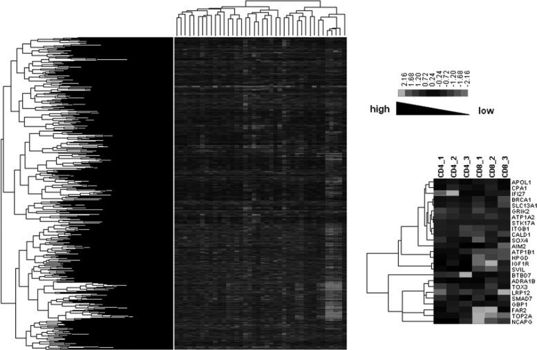 FIG. 3.