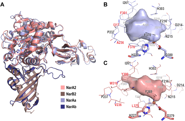 Figure 2