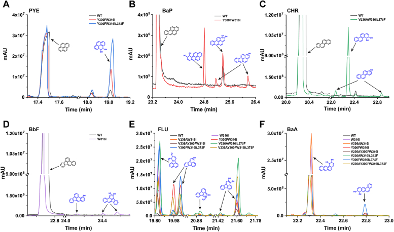 Figure 6