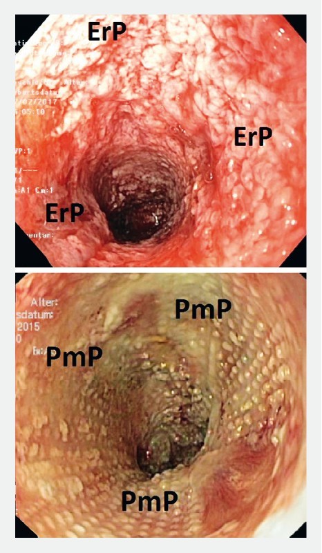 Fig. 4