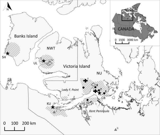 Figure 1