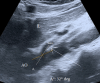 Fig. 5