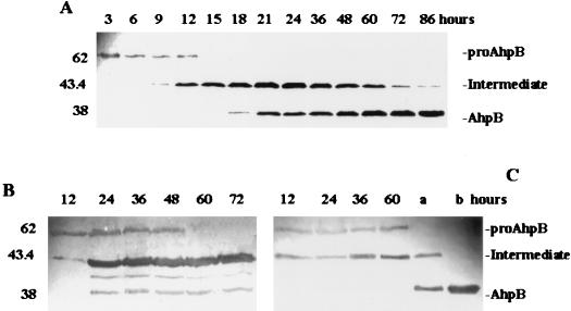 FIG. 6