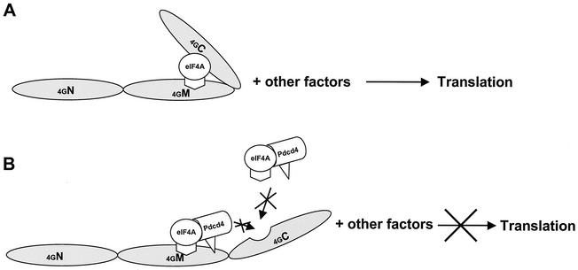 FIG. 8.