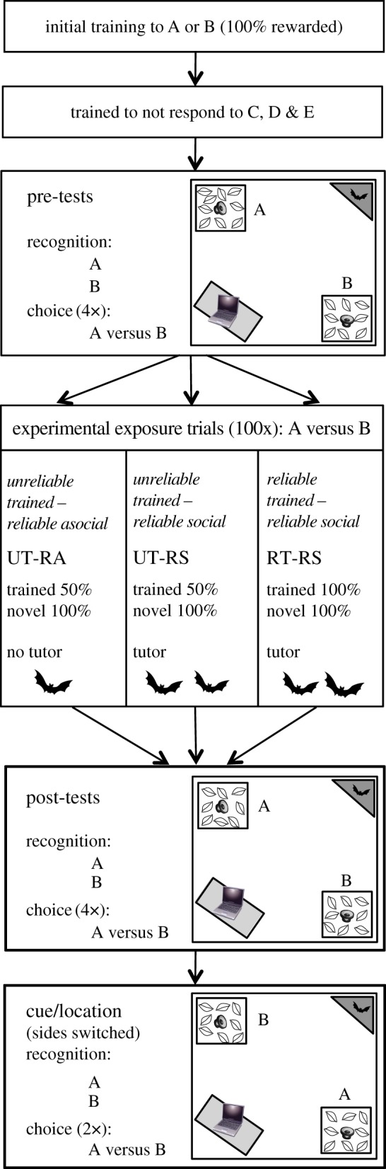 Figure 1.