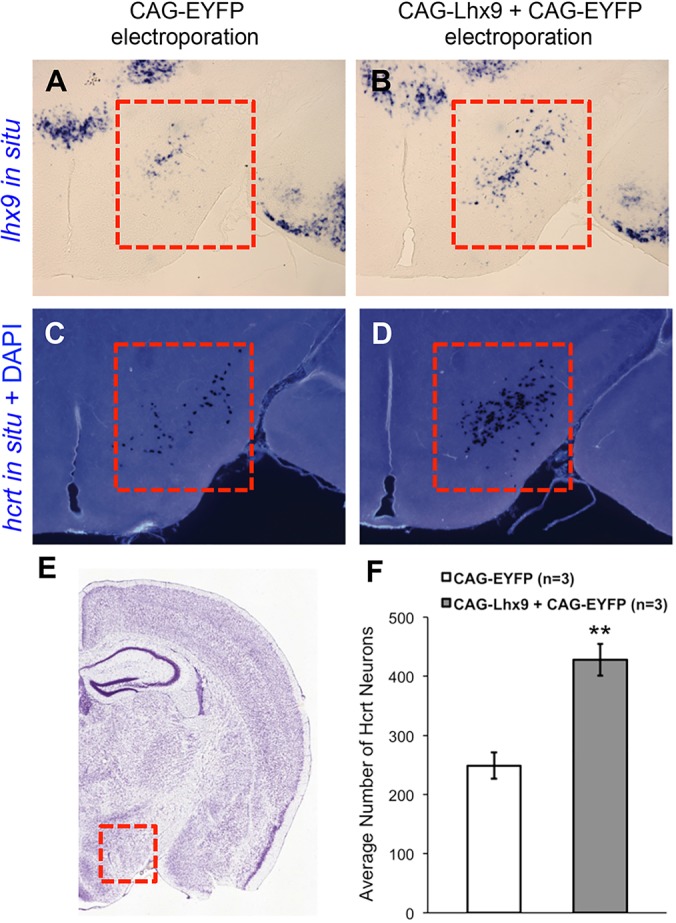 Fig. 8.