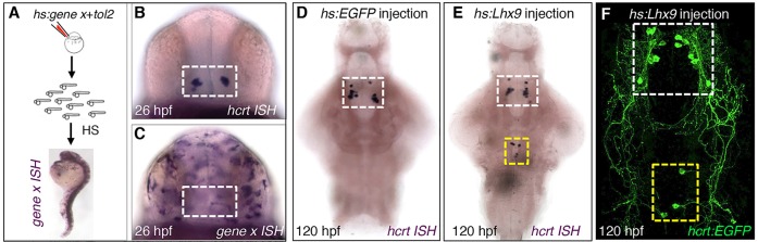 Fig. 3.