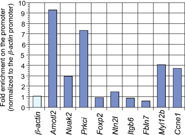 Figure 5—figure supplement 2.