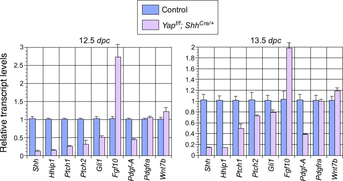 Figure 2—figure supplement 2.