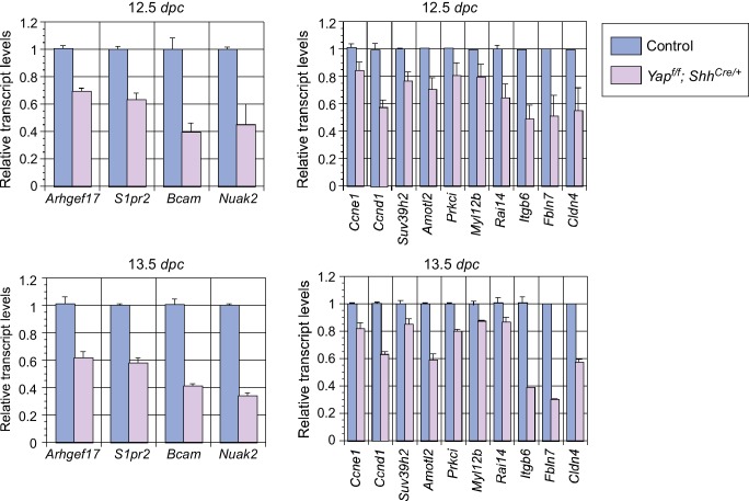 Figure 5—figure supplement 1.