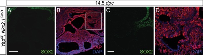 Figure 3—figure supplement 3.