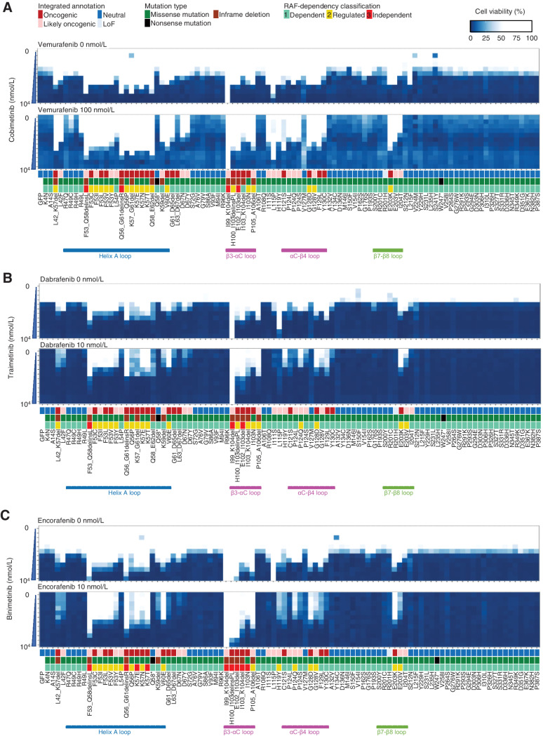 Figure 4. The sensitivity of MAP2K1 variants to BRAF and MEKi using the MANO method. A375 cells with MAP2K1 variants, GFP were treated with DMSO or BRAF inhibitors (vemurafenib, dabrafenib, and encorafenib) and MEKis (cobimetinib, trametinib, and binimetinib) at the indicated concentrations. The BRAF and MEKis concentrations were varied by 6 (0 to 10,000 nmol/L) and 12 steps (0 to 10,000 nmol/L), respectively. The relative viability of the treated cells with each drug versus DMSO-treated cells was measured and the results are presented using a color-coded scale. Data are presented as the mean ± SD (n = 3). A, Combination therapy with cobimetinib alone (top) and vemurafenib 100 nmol/L in addition to cobimetinib (bottom). B, Combination therapy with trametinib alone (top) and dabrafenib 10 nmol/L in addition to trametinib (bottom). C, Combination therapy with binimetinib alone (top) and encorafenib 10 nmol/L in addition to trametinib (bottom).