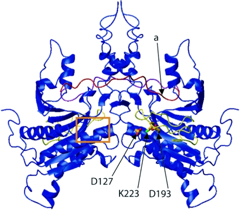 FIG. 6.