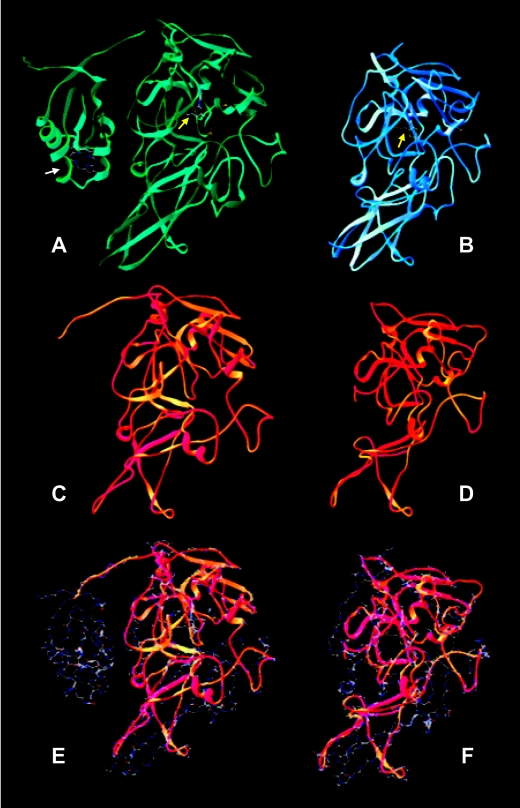 FIG. 2.