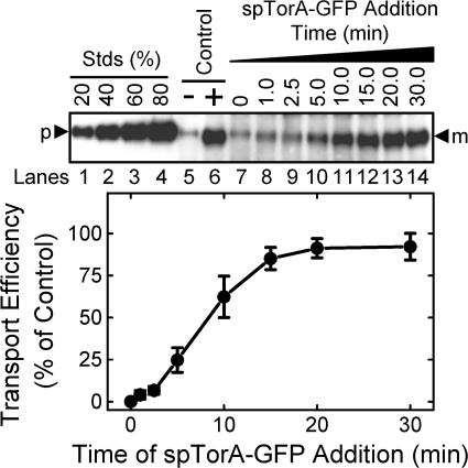 Figure 9.