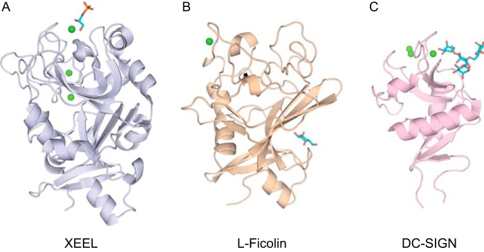 FIGURE 12.