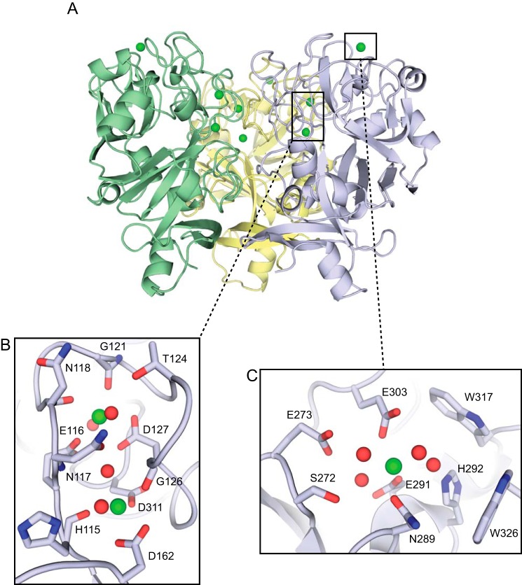 FIGURE 2.