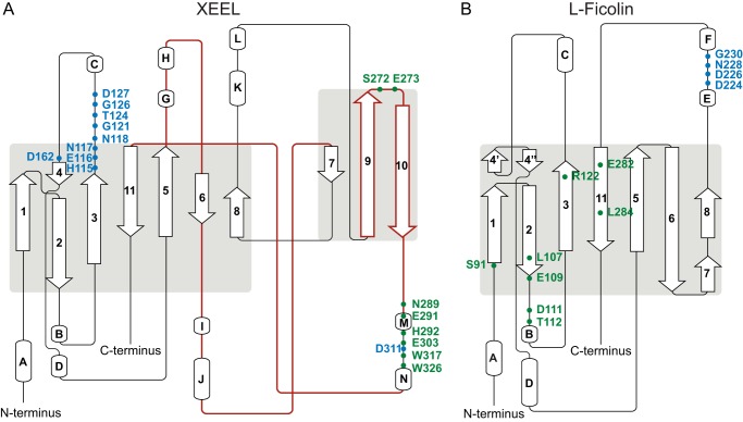 FIGURE 6.