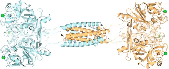 FIGURE 10.