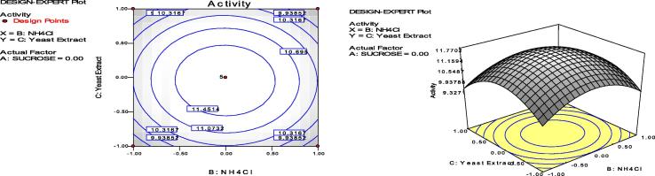 Fig. 10