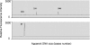 <b>Figure 4</b>