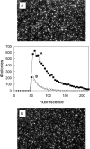 <b>Figure 6</b>