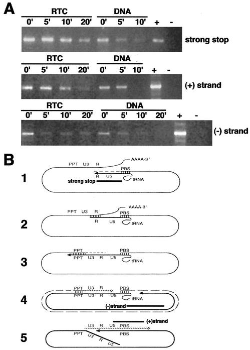 FIG. 7.